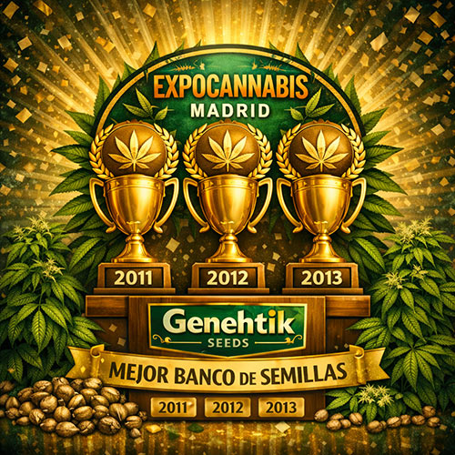 Tres copas de Genehtik Seeds, Mejor Banco de Semillas en ExpoCannabis Madrid 2011, 2012 y 2013
